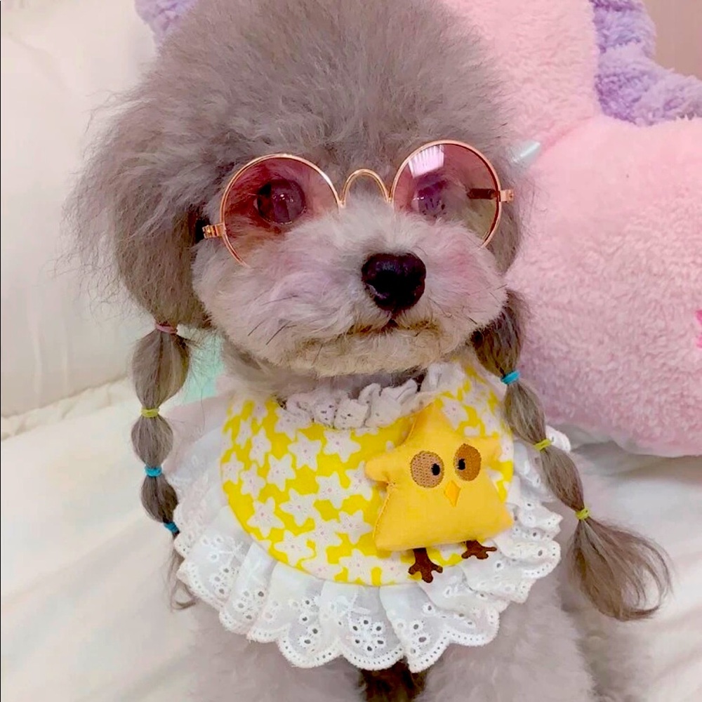 Pink sunglasses pets ❤️